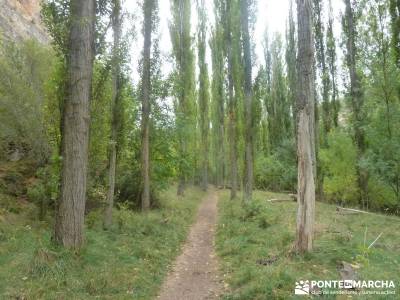 Hoces Río Duratón - Villa Sepúlveda; calidad de viajes profesionalidad